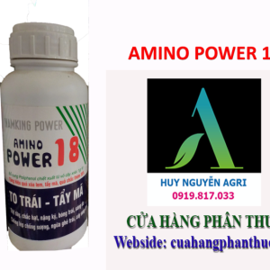 AMINO POWER 18