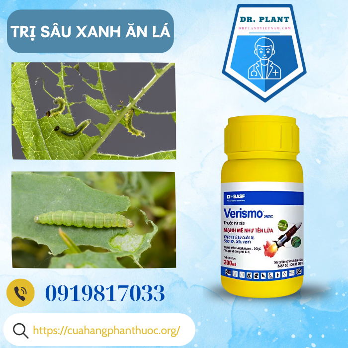 VERISMO 240SC VERISMO 240SC