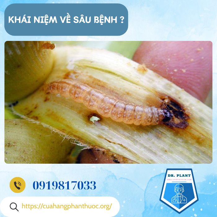 THIPRO 550EC THIPRO 550EC