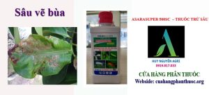 ASARASUPER 500SC  ASARASUPER 500SC