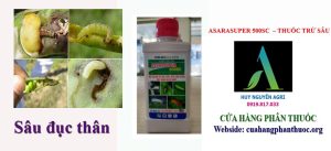 ASARASUPER 500SC  ASARASUPER 500SC