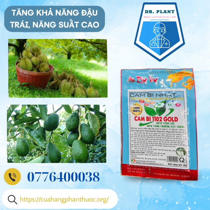 CAM BI NHẬT CAM BI NHẬT