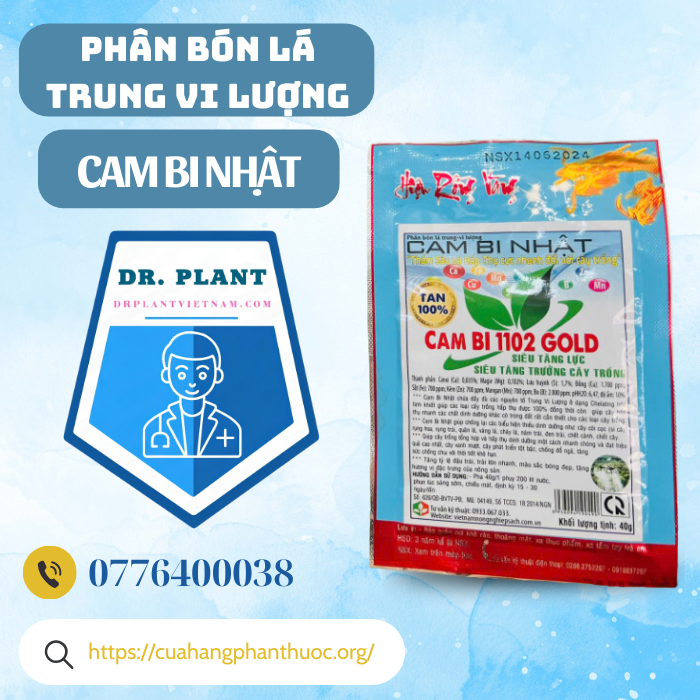 CAM BI NHẬT CAM BI NHẬT