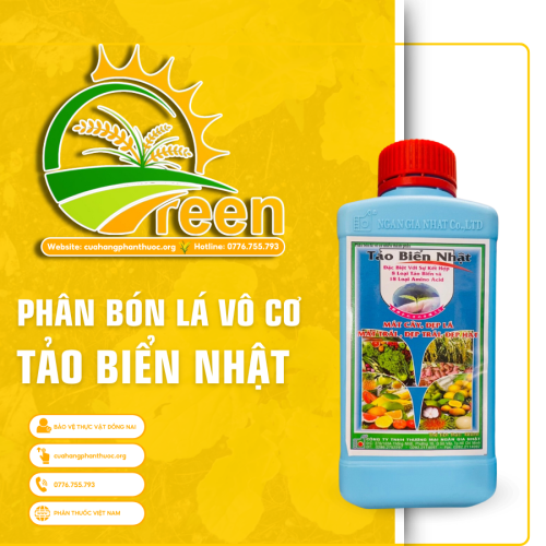 TẢO BIỂN NHẬT - cuahangphanthoc.org