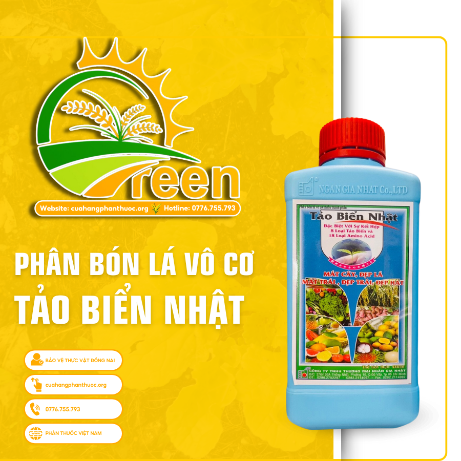 TẢO BIỂN NHẬT - cuahangphanthoc.org