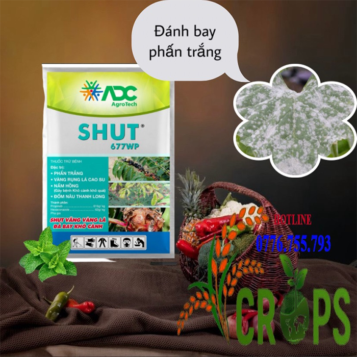 SHUT 677WP - cuahangphanthuoc.org SHUT 677WP - cuahangphanthuoc.org