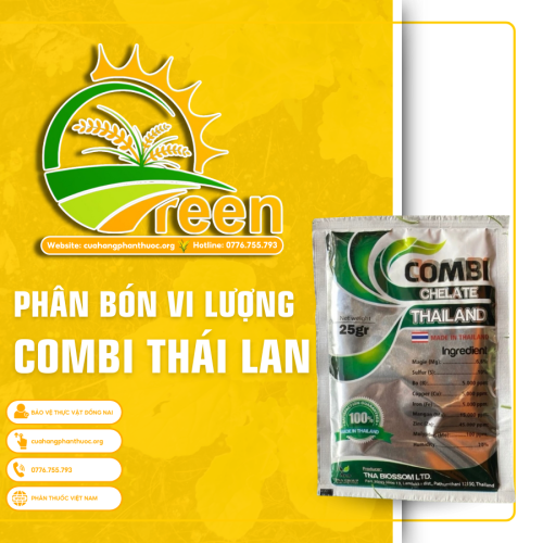 COMBI THÁI LAN - cuahangphanthuoc.org