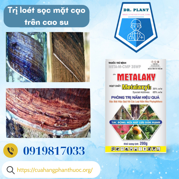 META M CMP 35WP META M CMP 35WP