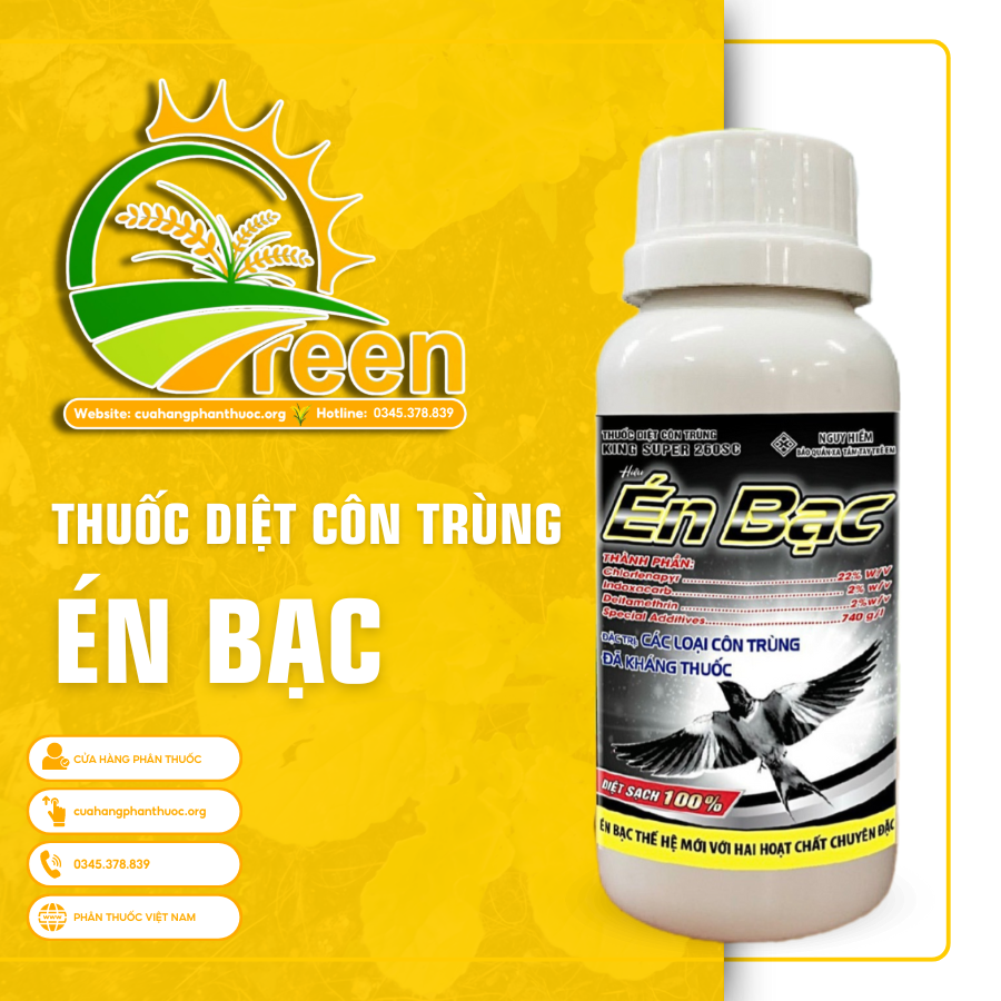 ÉN BẠC 