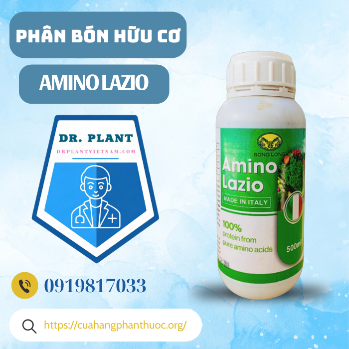 AMINO LAZIO AMINO LAZIO