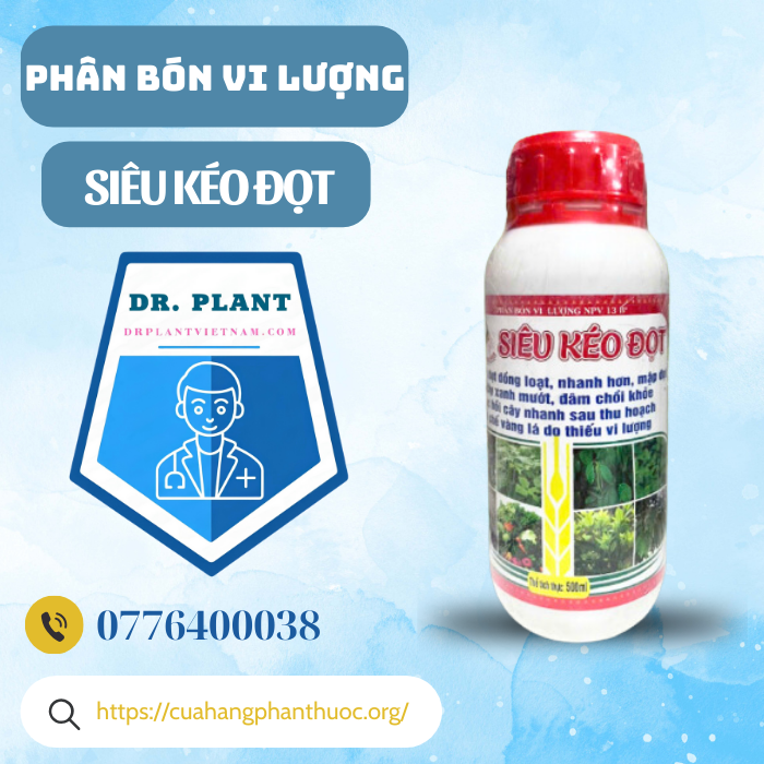 SIÊU KÉO ĐỌT SIÊU KÉO ĐỌT