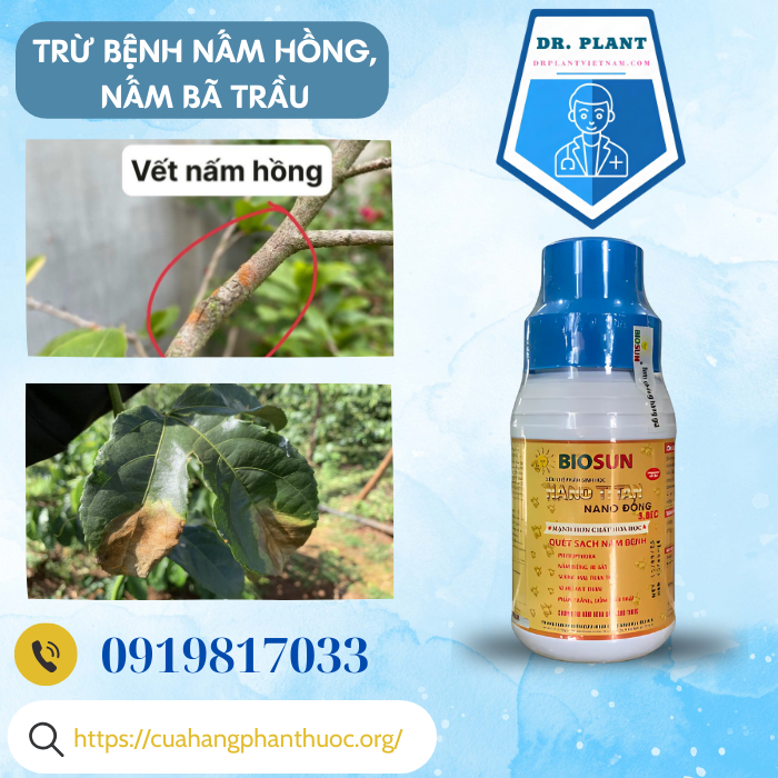 NANO ĐỒNG 3.8EC  NANO ĐỒNG 3.8EC