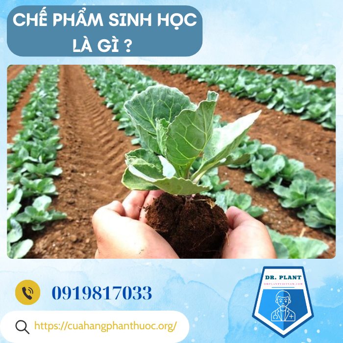NANO ĐỒNG 3.8EC  NANO ĐỒNG 3.8EC