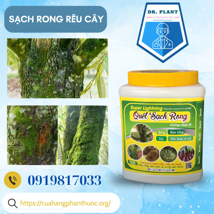 QUÉT SẠCH RONG QUÉT SẠCH RONG