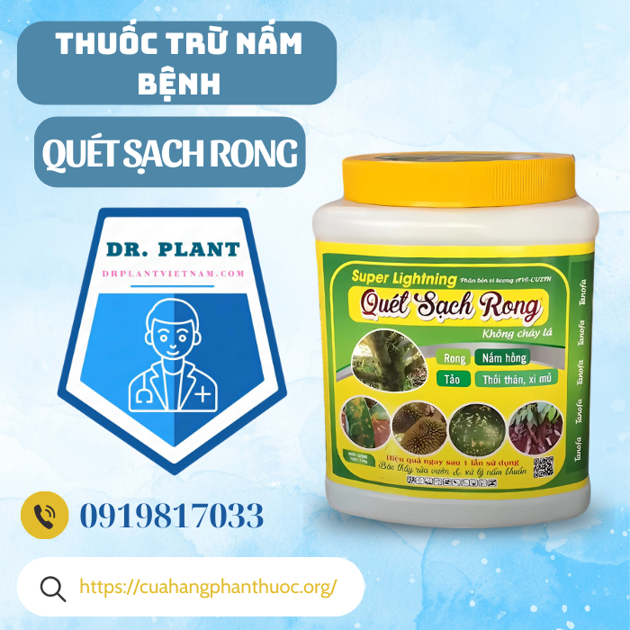 QUÉT SẠCH RONG QUÉT SẠCH RONG