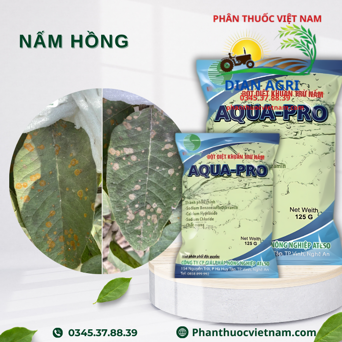 AQUA-PRO-2.png