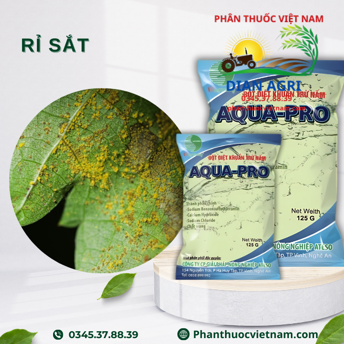 AQUA-PRO-3.png