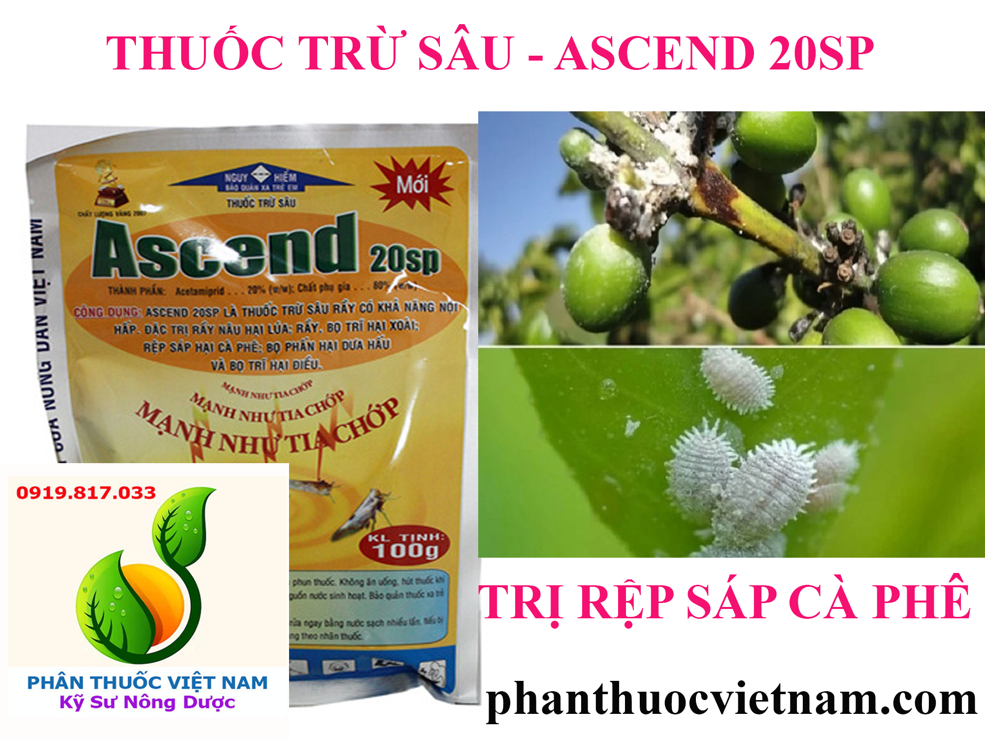 ASCEND-20SP-1.png