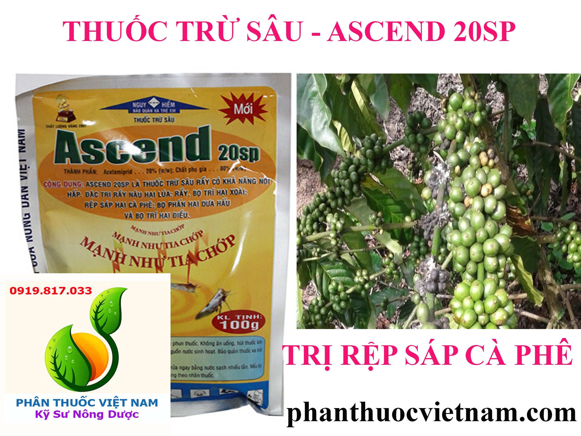 ASCEND-20SP-2.png