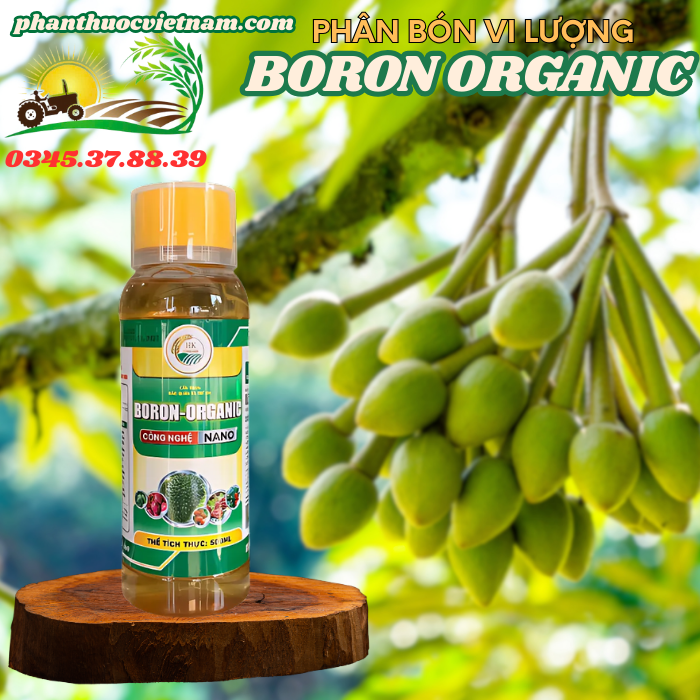 BORON-ORGANIC.png