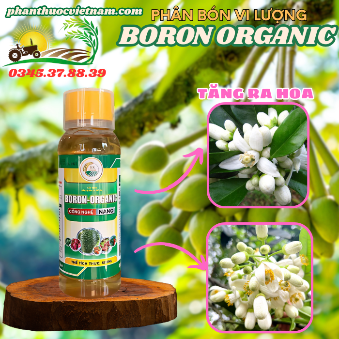 BORON-ORGANIC1.png