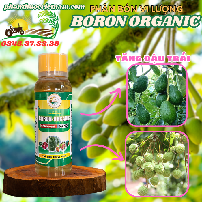 BORON-ORGANIC2.png