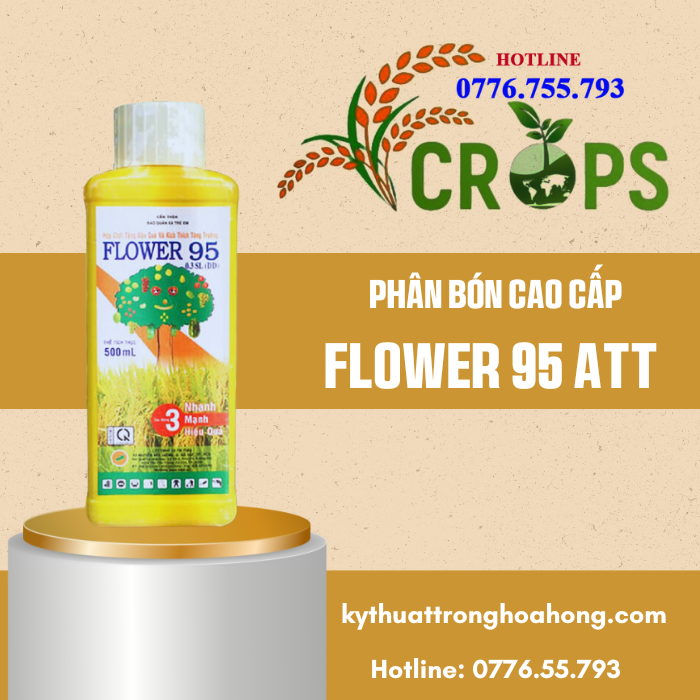 FLOWER-95.png
