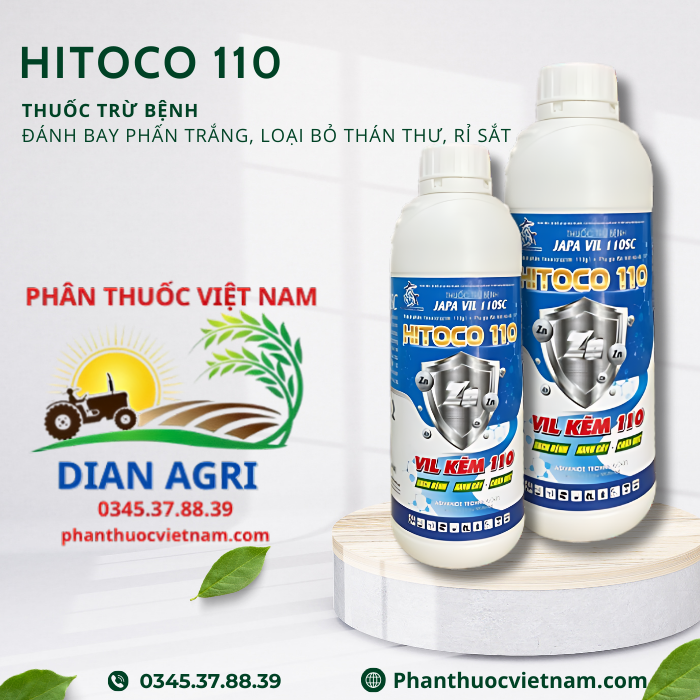 HITOCO-110.png