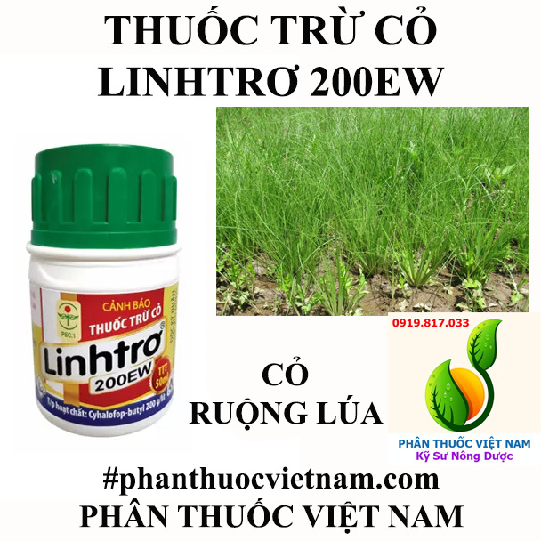 LINHTRO-1-.jpg