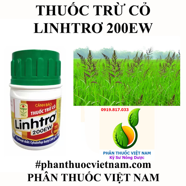 LINHTRO-2-.jpg