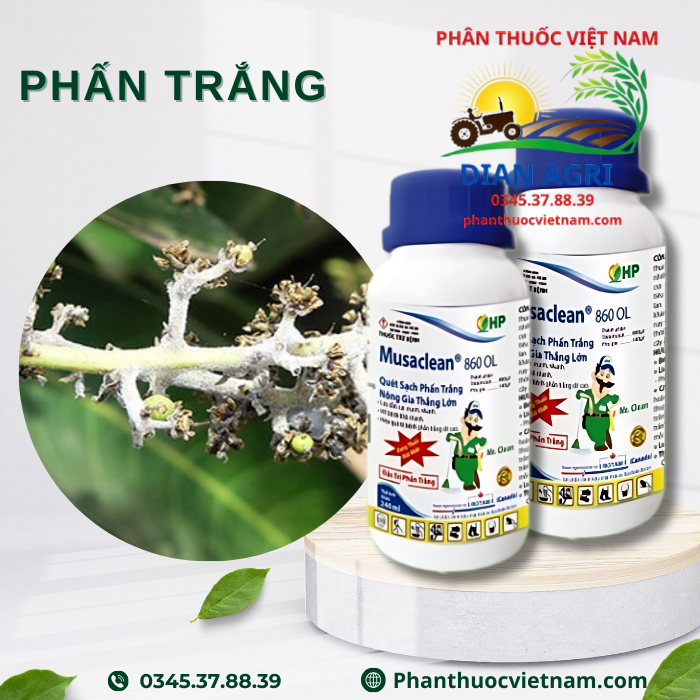 MUSACLEAN-860-OL-2-1.png
