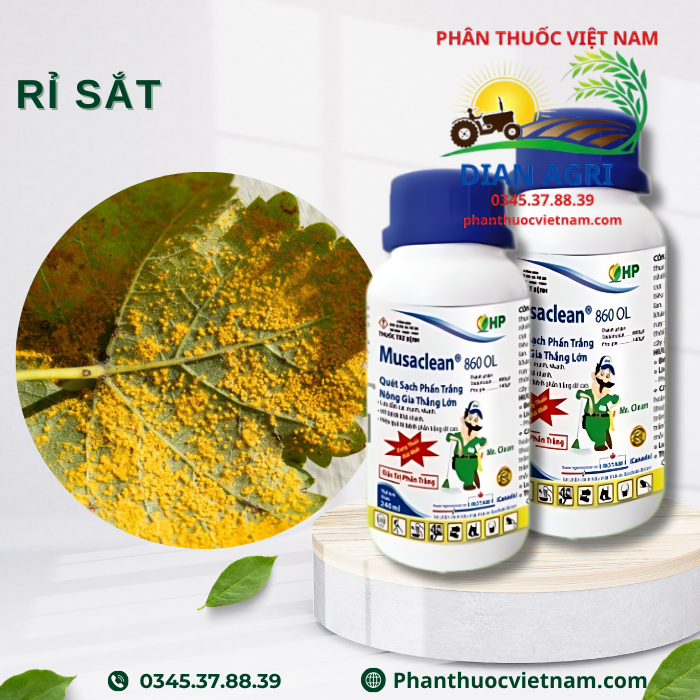 MUSACLEAN-860-OL-3.png