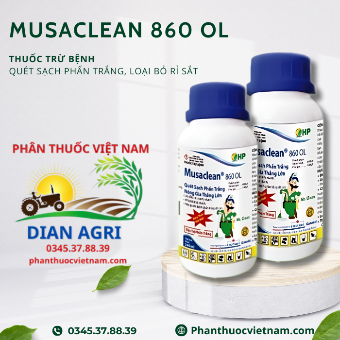MUSACLEAN-860-OL.png