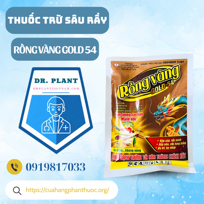 RỒNG VÀNG GOLD 54 RỒNG VÀNG GOLD 54
